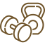 Ceratec West Winds