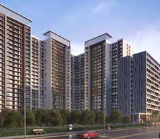 2 & 3 BHK Residencess